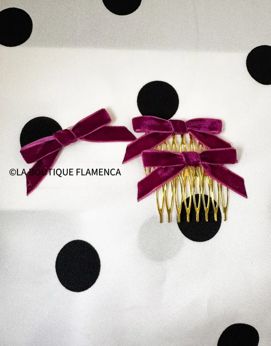 Conjunto Peines y Broche