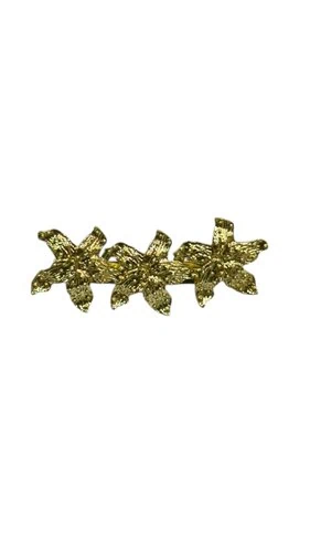 LBF Broche flamenca.