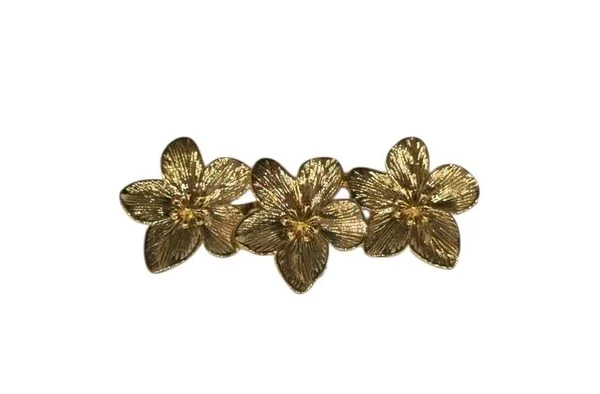LBF Broche flamenca.