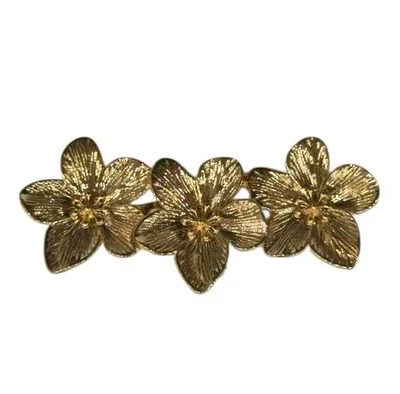 LBF Broche flamenca.