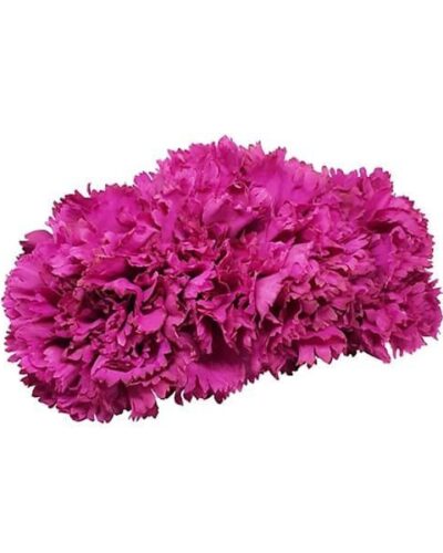 Ramillete de tres claveles maxi rosa fucsia