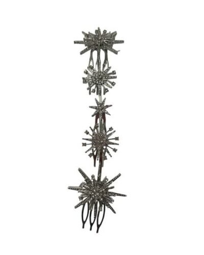 Raíz de estrellas plateadas