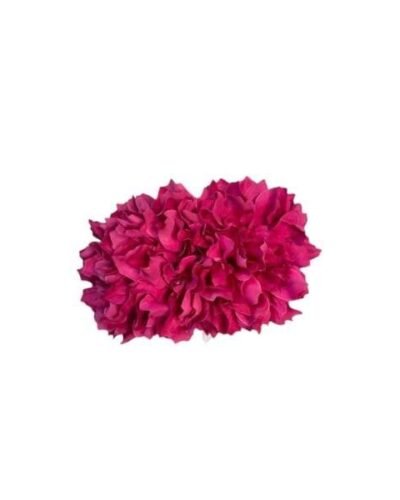 Ramillete de Flor de peonía flamenca fucsia