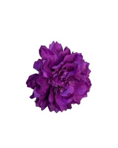 Flor de peonía pequeña morada