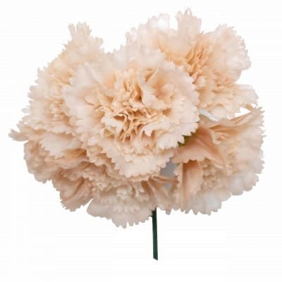 Ramillete de cinco claveles pequeño blanco roto