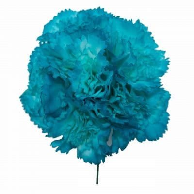 Ramillete de cinco claveles pequeños turquesa