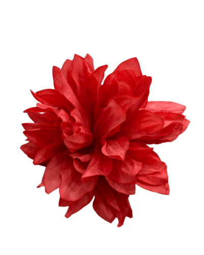 LBF Flor de Dalia seca. Varios colores