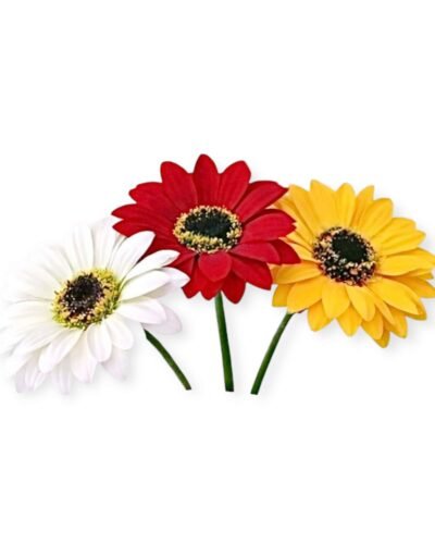 LBF Flor de Margarita. Varios colores