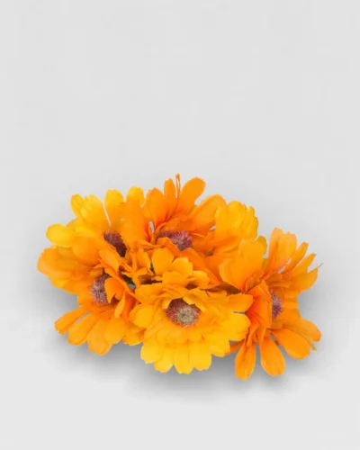 LBF Manojo de 6 margaritas pequeñas. Varios colores