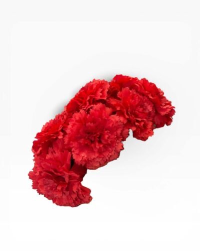 LBF Ramillete de flamenca