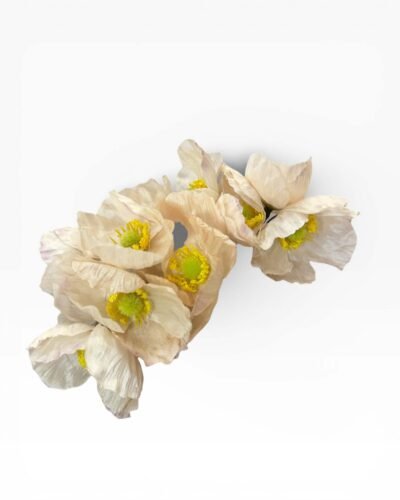 LBF Ramillete de flamenca