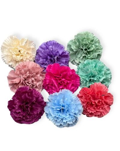 LBF Flor de clavel pinza niña