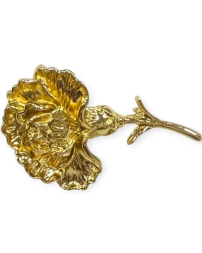 LBF Broche de flamenca