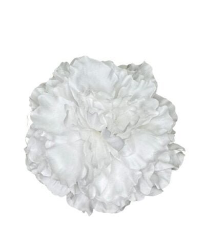 Flor de peonia blanco