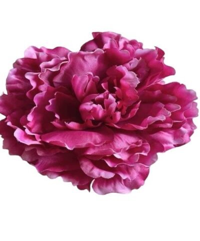 Flor de Dalia grande rosa