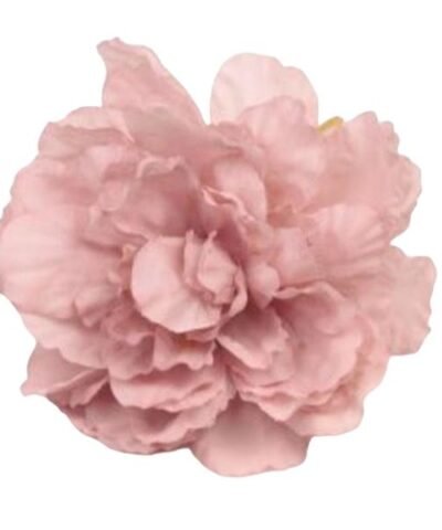 Flor de Dalia grande rosa nude
