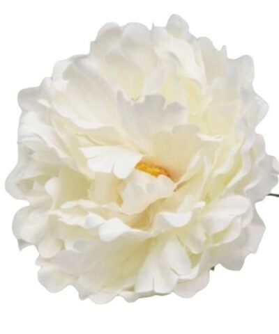 Flor de Dalia grande blanca