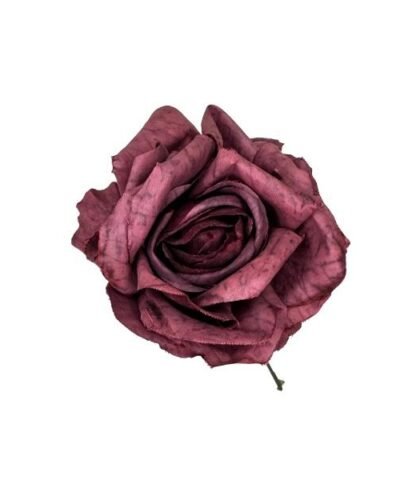 Flor de rosa desgastada