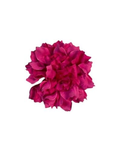 Flor de dalia flamenca rosa fucsia