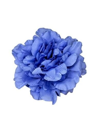 Flor de peonía azul flamenca
